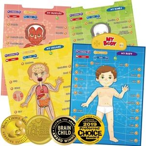 My Body Interactive Talking Poster (4 posters)